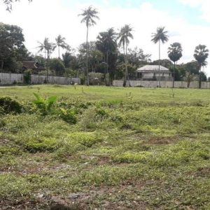 出售地皮-泰国-普吉-51200-平方米-364.29-01