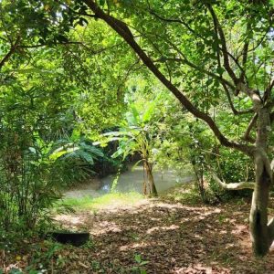 出售地皮-泰国-普吉-5808-平方米-737.92-01