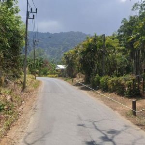 出售地皮-泰国-普吉-6400-平方米-96.43-01