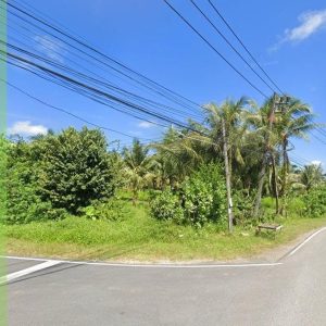 出售地皮-泰国-普吉-6608-平方米-342.46-01