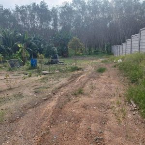 出售地皮-泰国-普吉-950-平方米-285.12-01