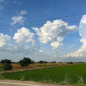 出售地皮-泰国-暖武里-11284-平方米-53.58-01