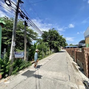 出售地皮-泰国-暖武里-12100-平方米-514.38-01