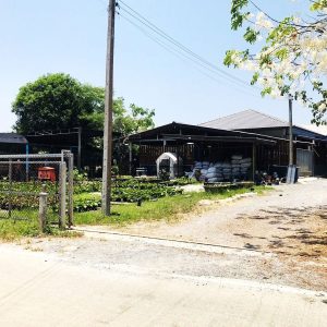 出售地皮-泰国-暖武里-14892-平方米-128.58-01