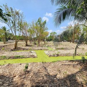 出售地皮-泰国-暖武里-1540-平方米-215.98-01