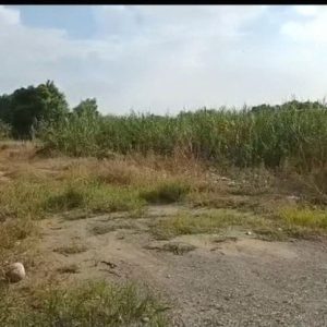 出售地皮-泰国-暖武里-16000-平方米-85.72-01