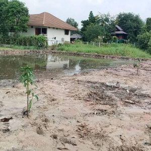 出售地皮-泰国-暖武里-1604-平方米-213.78-01