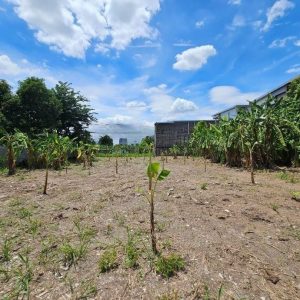 出售地皮-泰国-暖武里-1640.8-平方米-685.72-01