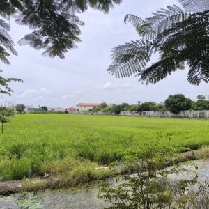 出售地皮-泰国-暖武里-16568-平方米-107.15-01