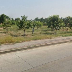 出售地皮-泰国-暖武里-17296-平方米-14.29-01