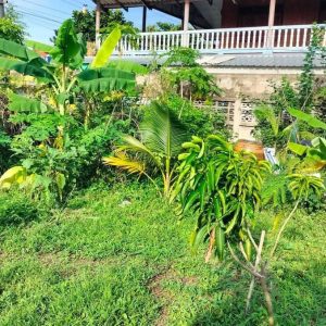 出售地皮-泰国-暖武里-1800-平方米-380.98-01