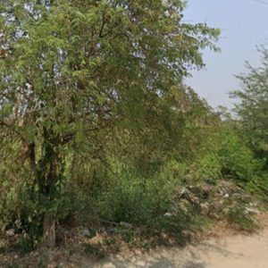 出售地皮-泰国-暖武里-18800-平方米-218.18-01