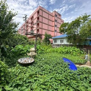 出售地皮-泰国-暖武里-236-平方米-174.35-01