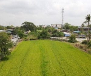 出售地皮-泰国-暖武里-25600-平方米-128.58-01