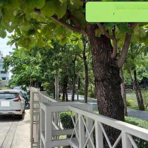 出售地皮-泰国-暖武里-260-平方米-593.43-01