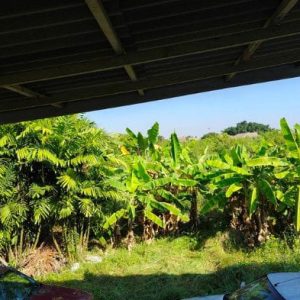 出售地皮-泰国-暖武里-2800-平方米-188.58-01