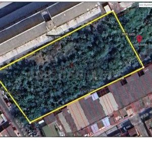 出售地皮-泰国-暖武里-3096-平方米-343.32-01