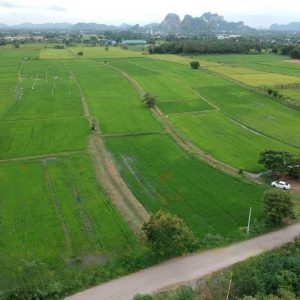 出售地皮-泰国-暖武里-32036-平方米-0-01