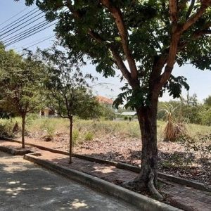 出售地皮-泰国-暖武里-332-平方米-206.55-01