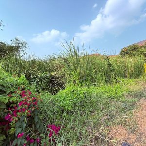 出售地皮-泰国-暖武里-3320-平方米-154.29-01