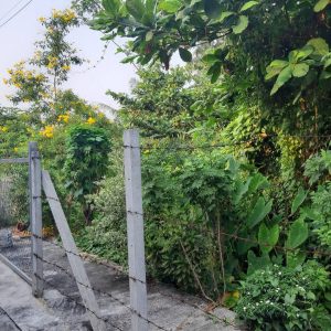 出售地皮-泰国-暖武里-400-平方米-128.58-01