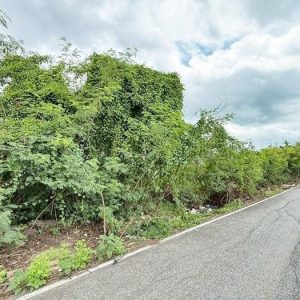 出售地皮-泰国-暖武里-400-平方米-171.43-01