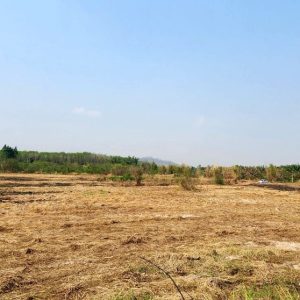 出售地皮-泰国-暖武里-40916-平方米-42.86-01