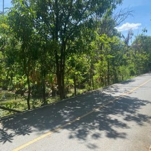 出售地皮-泰国-暖武里-4416-平方米-240-01