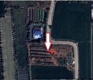 出售地皮-泰国-暖武里-4800-平方米-196.43-01