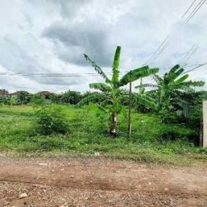 出售地皮-泰国-暖武里-5176-平方米-311.35-01