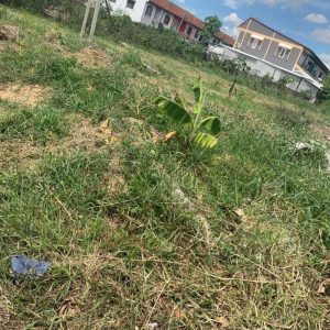 出售地皮-泰国-暖武里-556.4-平方米-154.06-01