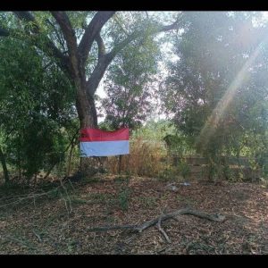 出售地皮-泰国-暖武里-600-平方米-80-01