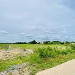 出售地皮-泰国-暖武里-60848-平方米-85.72-01