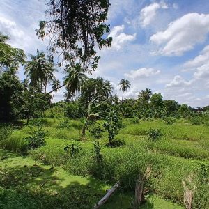 出售地皮-泰国-暖武里-6264-平方米-214.29-01