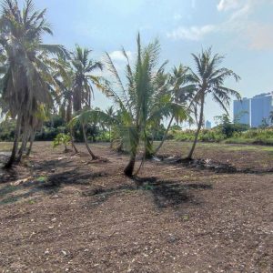 出售地皮-泰国-暖武里-6353.2-平方米-321.43-01