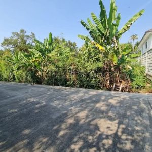 出售地皮-泰国-暖武里-669.6-平方米-291.89-01