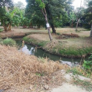 出售地皮-泰国-暖武里-6752-平方米-257.15-01