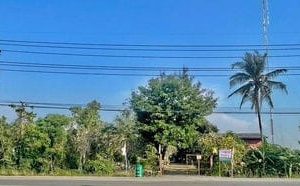 出售地皮-泰国-暖武里-6820-平方米-51.29-01