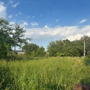 出售地皮-泰国-暖武里-684-平方米-501.26-01