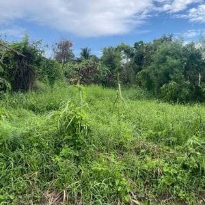 出售地皮-泰国-暖武里-700-平方米-122.46-01