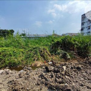 出售地皮-泰国-暖武里-700-平方米-268.92-01