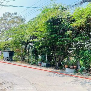 出售地皮-泰国-暖武里-7756.8-平方米-150.29-01