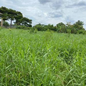 出售地皮-泰国-暖武里-9184-平方米-119.49-01