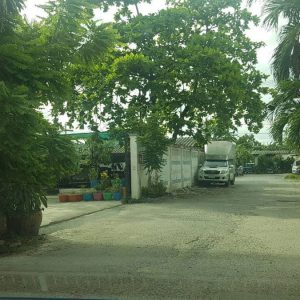 出售地皮-泰国-曼谷-1012-平方米-1016.4-01