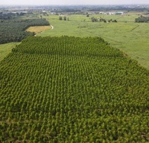 出售地皮-泰国-曼谷-101484-平方米-32.15-01