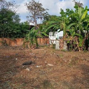 出售地皮-泰国-曼谷-1016-平方米-1619.8-01