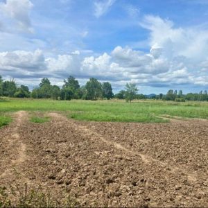 出售地皮-泰国-曼谷-11100-平方米-2.15-01