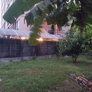 出售地皮-泰国-曼谷-1116-平方米-1628.58-01