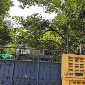 出售地皮-泰国-曼谷-1124-平方米-6120-01