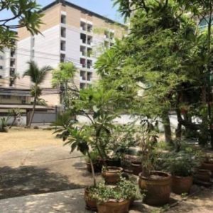 出售地皮-泰国-曼谷-1224.8-平方米-3000-01